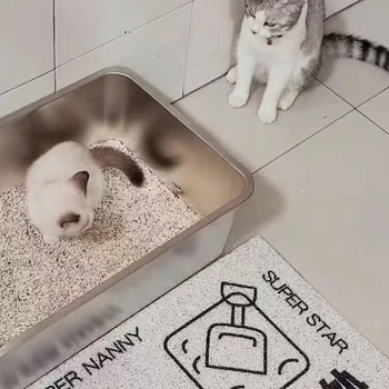 Rozsdamentes acél macskatál a Maine Coon macskáknak, alkalmas állateledel-üzleteknek