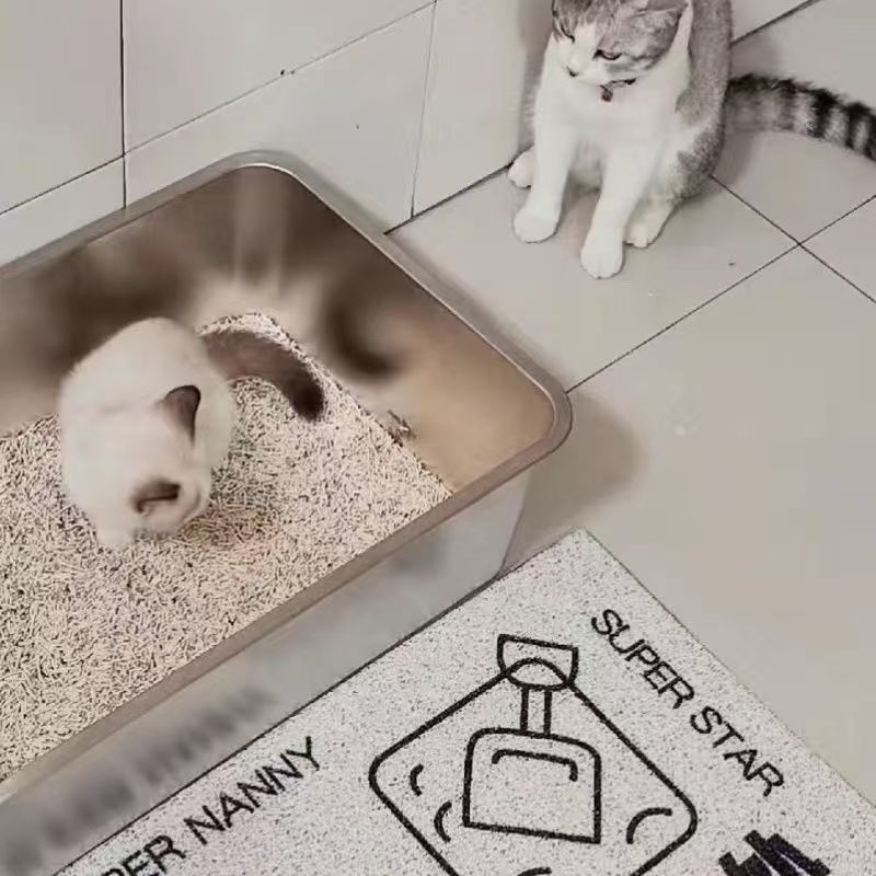 Rozsdamentes acél macskatál a Maine Coon macskáknak, alkalmas állateledel-üzleteknek