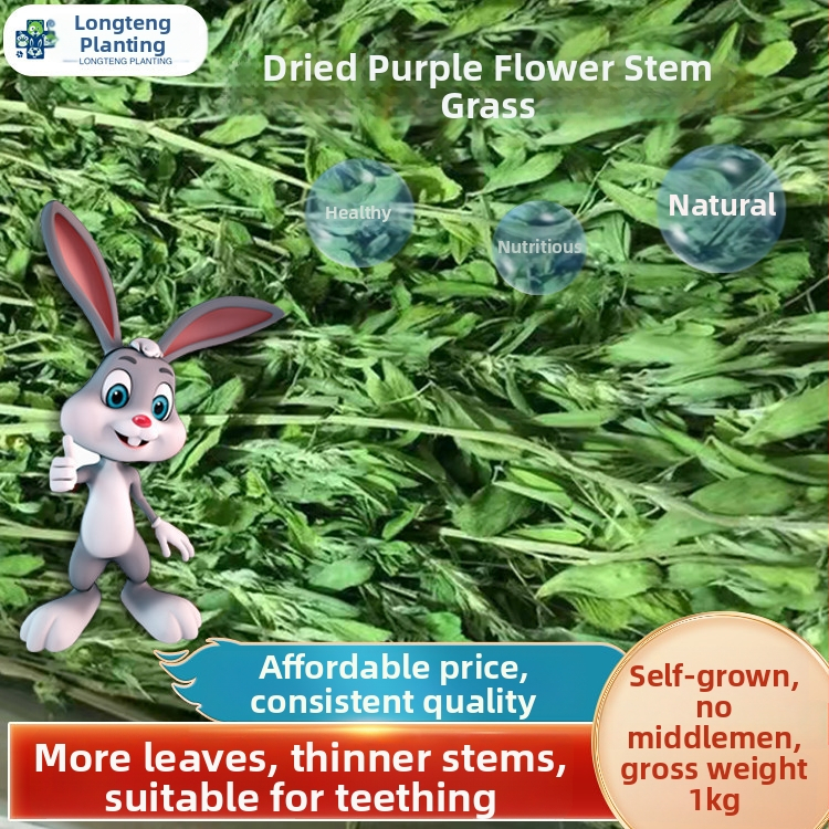 Sausa lucerna trušiem, činchillām un cūciņām — Longteng Planting, dzīvnieku barība vispārīgai lietošanai