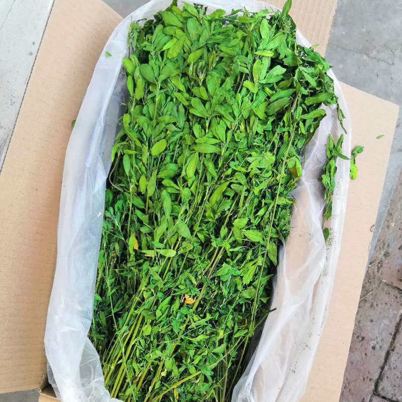 Sausa barība mazajiem mājdzīvniekiem – Alfalfa lucerna, 1 kg, Zīmols Alfalfa, Mājdzīvnieku barība