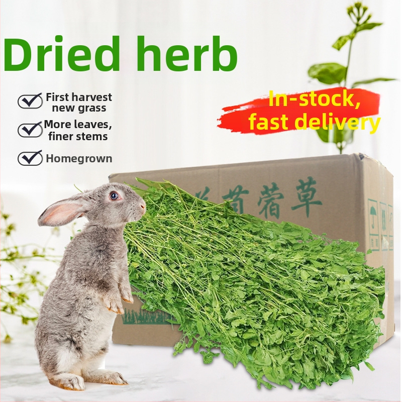 Sausa barība mazajiem mājdzīvniekiem – Alfalfa lucerna, 1 kg, Zīmols Alfalfa, Mājdzīvnieku barība