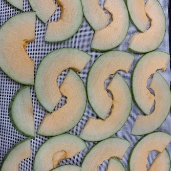 Szilikon szárító matrac gyümölcsök és húsok szárítására, négyzetes alakú, 360 g/m², élelmiszer-minőségű bevonat