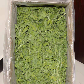 Sausa lucernas zāle mazajiem mājdzīvniekiem – 1 kg iepakojums, zīmols Yilu pets, preces kods 027, sausā barība ar lucernu