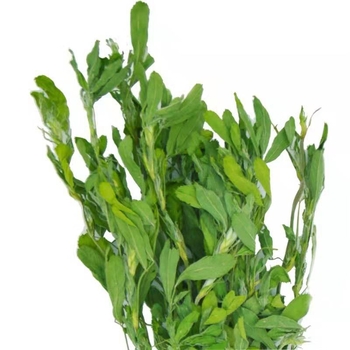 Sausa lucernas zāle mazajiem mājdzīvniekiem – 1 kg iepakojums, zīmols Yilu pets, preces kods 027, sausā barība ar lucernu