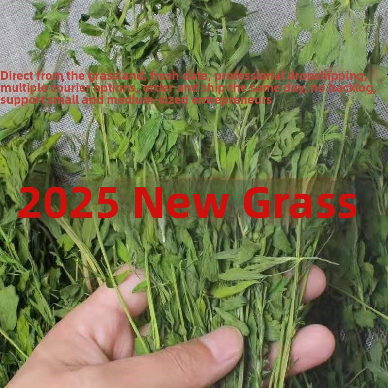 Sausa lucernas zāle mazajiem mājdzīvniekiem – 1 kg iepakojums, zīmols Yilu pets, preces kods 027, sausā barība ar lucernu