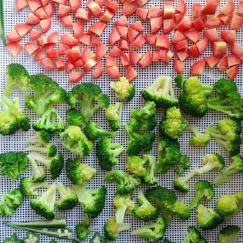 Covoraș de uscare din silicon, pătrat, 360 g/m², silicon alimentar, pentru uscare fructe, carne și fructe confiate