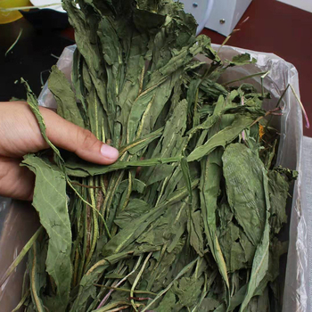 Sausa barība ar pieneņu zāli maziem mājdzīvniekiem; iepakojums 500 g; Zīmols Beautiful.