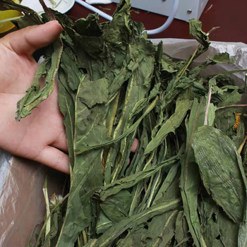 Sausa barība ar pieneņu zāli maziem mājdzīvniekiem; iepakojums 500 g; Zīmols Beautiful.