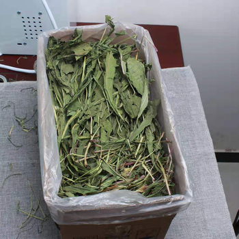 Sausa barība ar pieneņu zāli maziem mājdzīvniekiem; iepakojums 500 g; Zīmols Beautiful.