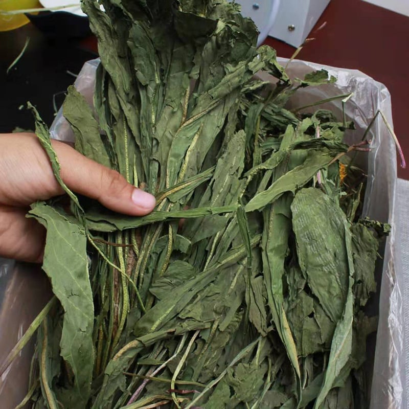 Sausa barība ar pieneņu zāli maziem mājdzīvniekiem; iepakojums 500 g; Zīmols Beautiful.