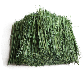 Timothy siena segmenti – 500 g sausā dzīvnieku barība trušiem un činchillām