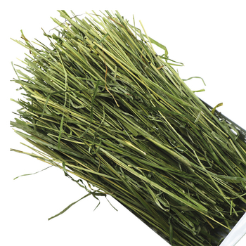 Timothy siena segmenti – 500 g sausā dzīvnieku barība trušiem un činchillām