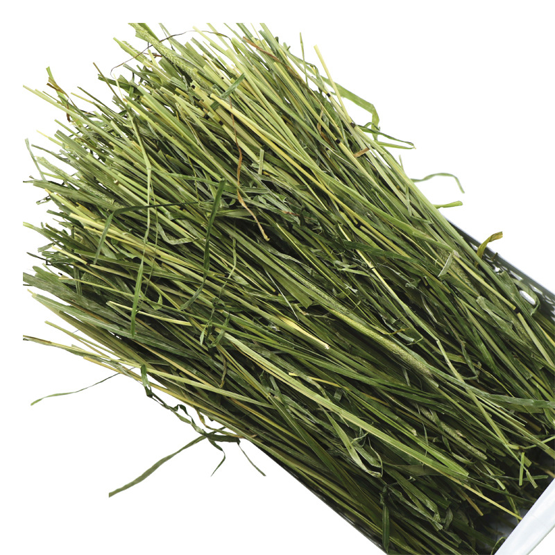 Timothy siena segmenti – 500 g sausā dzīvnieku barība trušiem un činchillām