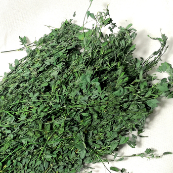 Sausa lucernas barība trušiem, činčilām un jūras cūkām – 1 kg, Longteng planting