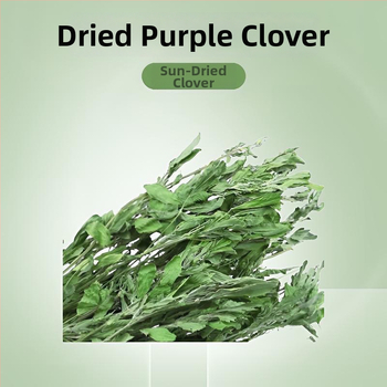 Sausa lucerna maziem mājdzīvniekiem: jaunajiem trušiem, činčillām un jūrascūkām