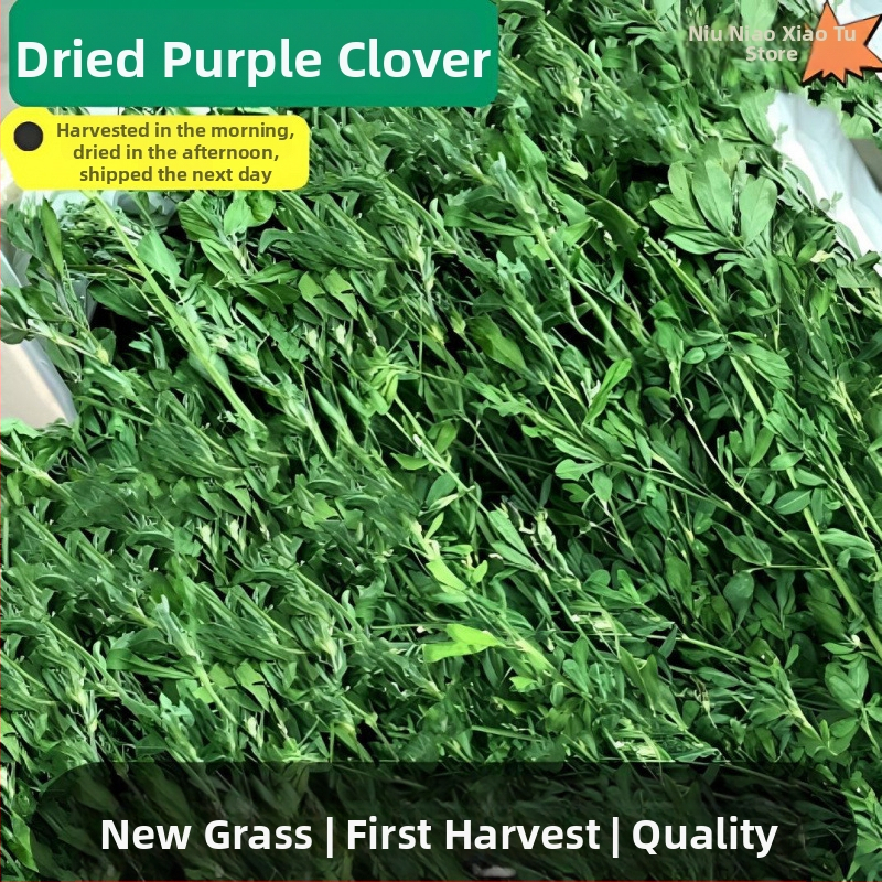 Sausa lucerna maziem mājdzīvniekiem: jaunajiem trušiem, činčillām un jūrascūkām