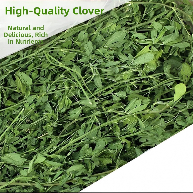 Sausa lucerna maziem mājdzīvniekiem: jaunajiem trušiem, činčillām un jūrascūkām