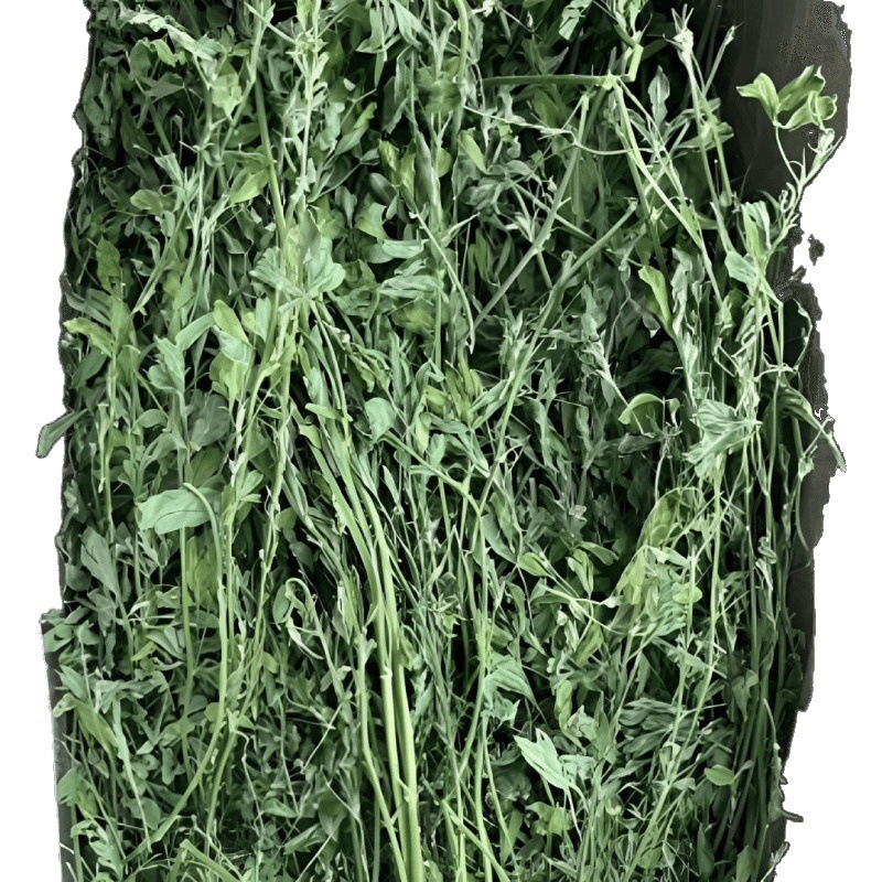 Sausa lucerna maziem mājdzīvniekiem: jaunajiem trušiem, činčillām un jūrascūkām