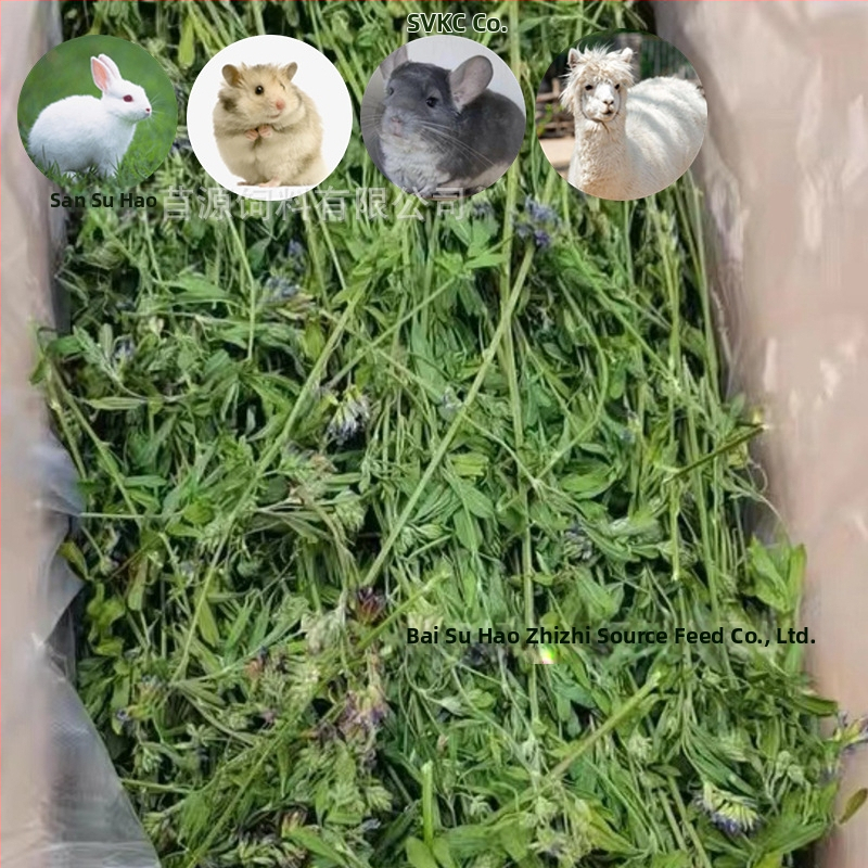 Sausa barība trušiem un činčillām – lucernas lapiņa, 1 kg, zīmols Good Alfalfa Source, mājdzīvnieku barība