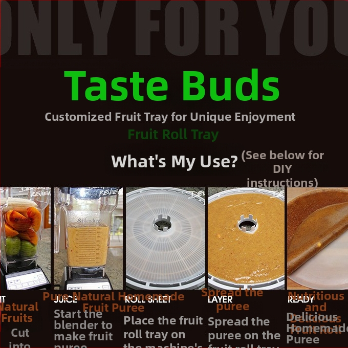 Vaisių džiovintuvas SX660 500W 220V 50Hz