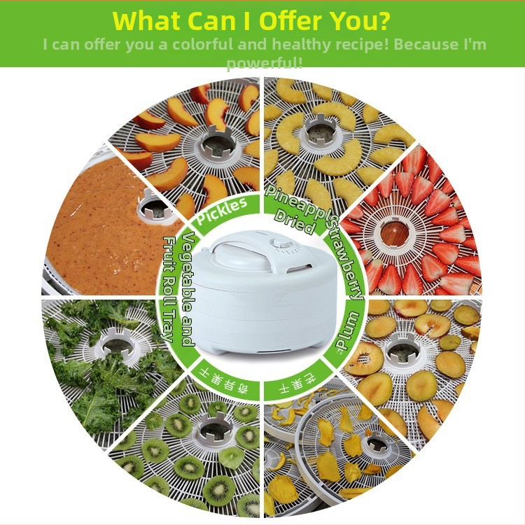 Vaisių džiovintuvas SX660 500W 220V 50Hz