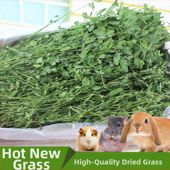 Žāvēta dadzene zāle maziem mājdzīvniekiem, 1 kg iepakojums, zīmols Yisen, izcelsme Shandong