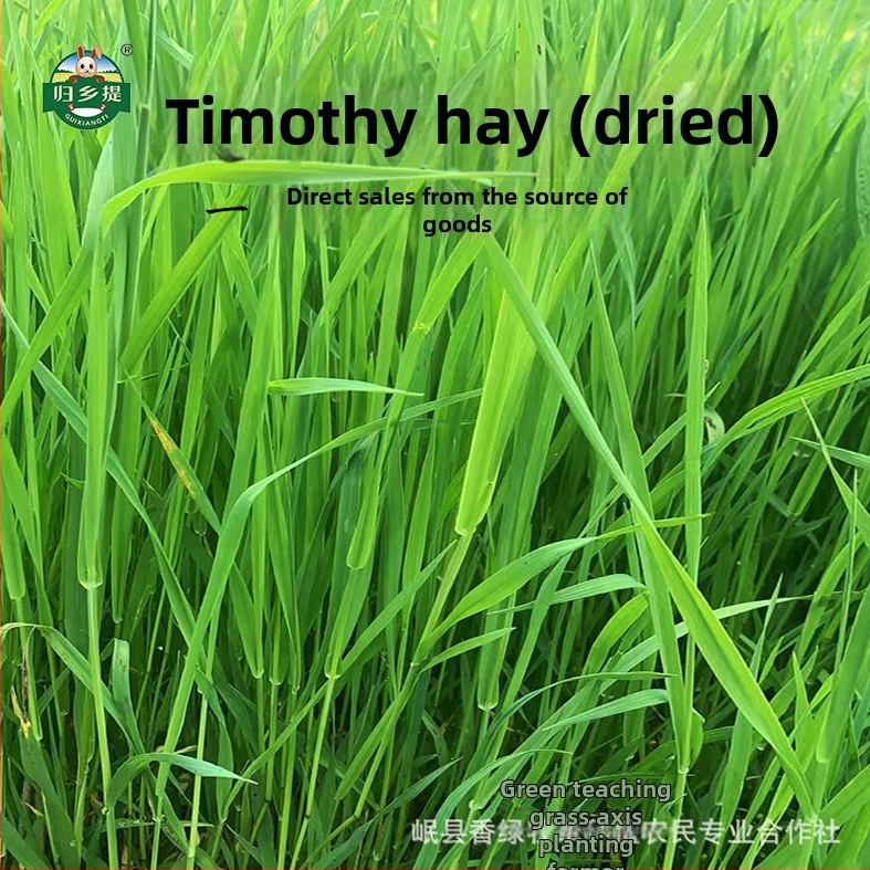 Sausa barība mājdzīvniekiem: Timotijas siena trušiem un činčillām, 1 kg, Homecoming, kartonu iepakojums