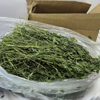 Kuiv lucernapõhise toiduna jänesed, tšintšillad ja väikeste imetajate jaoks — sobiv kõigile elueaetappidele, 1 kg, koduloomatoit