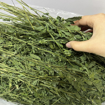 Kuiv lucernapõhise toiduna jänesed, tšintšillad ja väikeste imetajate jaoks — sobiv kõigile elueaetappidele, 1 kg, koduloomatoit