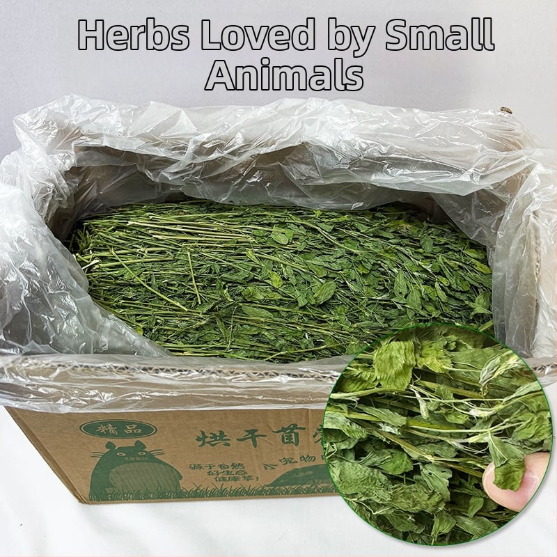 Kuiv lucernapõhise toiduna jänesed, tšintšillad ja väikeste imetajate jaoks — sobiv kõigile elueaetappidele, 1 kg, koduloomatoit