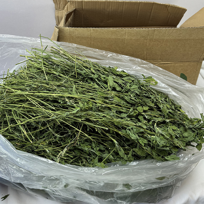 Kuiv lucernapõhise toiduna jänesed, tšintšillad ja väikeste imetajate jaoks — sobiv kõigile elueaetappidele, 1 kg, koduloomatoit