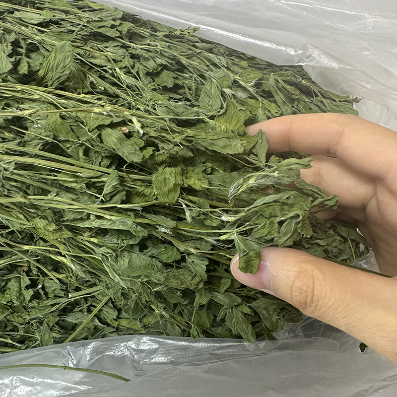 Kuiv lucernapõhise toiduna jänesed, tšintšillad ja väikeste imetajate jaoks — sobiv kõigile elueaetappidele, 1 kg, koduloomatoit