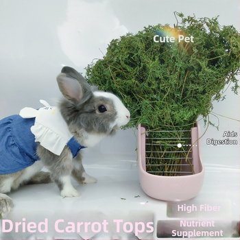 Žāvēti burkānu gali – molārās uzkodas trušiem, činčillām un cūkām (Materiāls: Cits; Izcelsme: Skatīt detaļas; Importa: Nē; Zīmols: Cits)