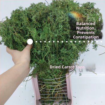 Žāvēti burkānu gali – molārās uzkodas trušiem, činčillām un cūkām (Materiāls: Cits; Izcelsme: Skatīt detaļas; Importa: Nē; Zīmols: Cits)