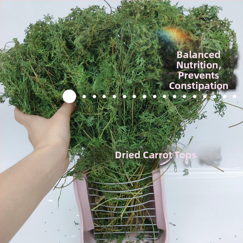 Žāvēti burkānu gali – molārās uzkodas trušiem, činčillām un cūkām (Materiāls: Cits; Izcelsme: Skatīt detaļas; Importa: Nē; Zīmols: Cits)