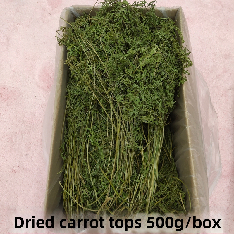 Žāvēti burkānu gali – molārās uzkodas trušiem, činčillām un cūkām (Materiāls: Cits; Izcelsme: Skatīt detaļas; Importa: Nē; Zīmols: Cits)