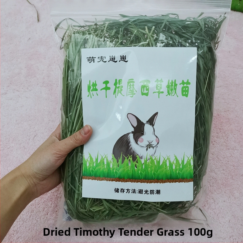 Timotijas zāle – sausā barība trušiem, činčillām un jūrascūkām – gremošanas atbalsts