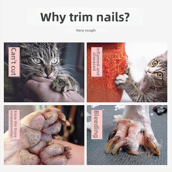 Jin Paizi νυχοκόπτες για γάτες, σετ 96 τεμάχια