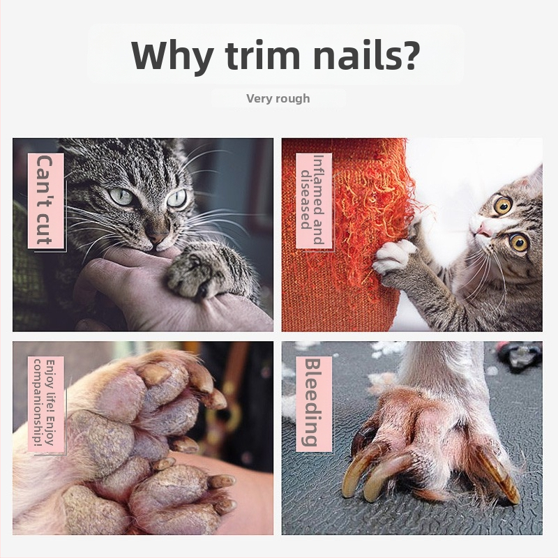 Jin Paizi νυχοκόπτες για γάτες, σετ 96 τεμάχια