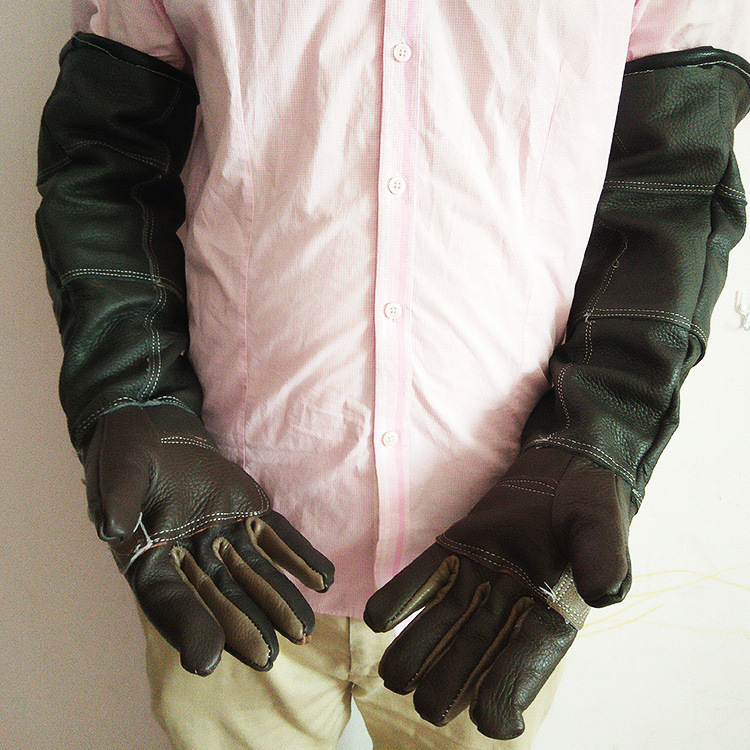 Anti-koduma cimdi mājdzīvnieku kopšanai, augšējā slāņa liellopu āda, ūdensnecaurlaidīgi, profesionāli un elastīgi, piemēroti suņu un kaķu mazgāšanai, nagu griezšanai.