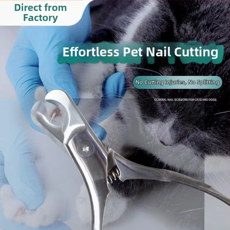Clește pentru unghii de animale de companie – oțel inoxidabil, construcție dintr-o singură piesă, Xianglong kit portabil pentru casă, origine Guangdong