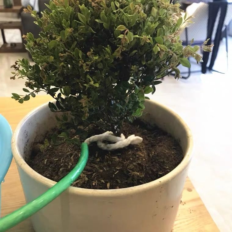 Комплект за капково напояване – водоустойчив, пластмасов, система за бързо свързване, 5 части