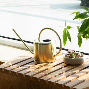 E PALACE Κανάκι ποτίσματος από ανοξείδωτο ατσάλι – Ψεκαστήρας/Κανάκι με ίσιο ακροφύσιο για οικιακή κηπουρική