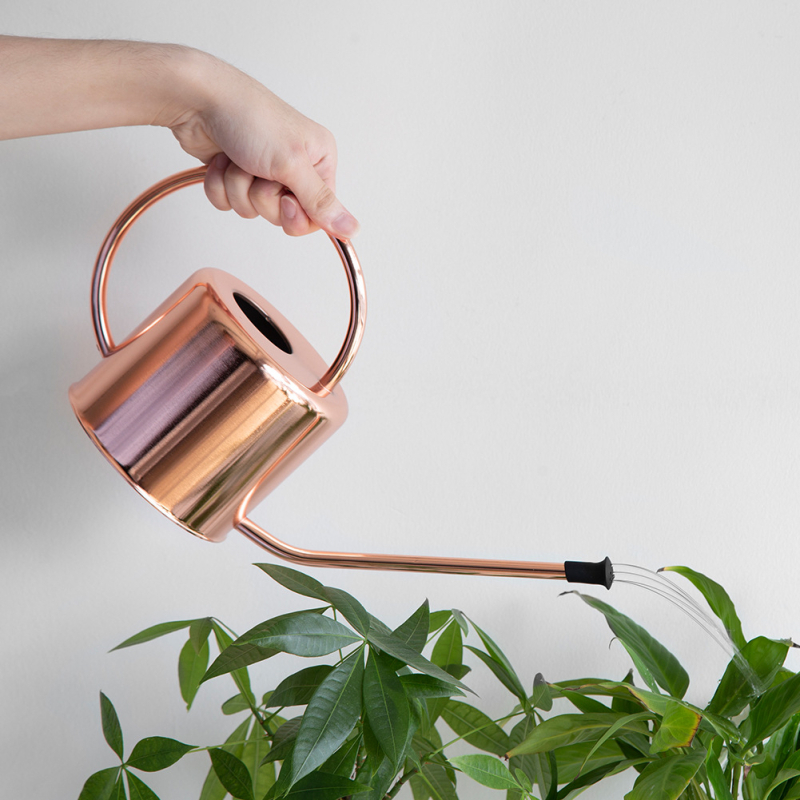 E PALACE Κανάκι ποτίσματος από ανοξείδωτο ατσάλι – Ψεκαστήρας/Κανάκι με ίσιο ακροφύσιο για οικιακή κηπουρική