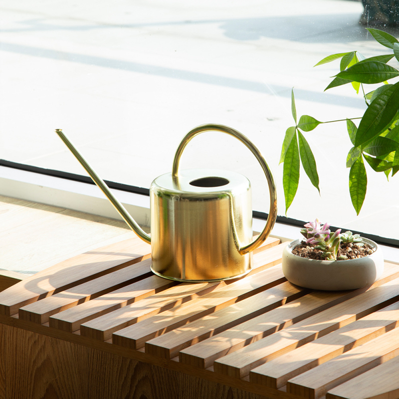 E PALACE Κανάκι ποτίσματος από ανοξείδωτο ατσάλι – Ψεκαστήρας/Κανάκι με ίσιο ακροφύσιο για οικιακή κηπουρική