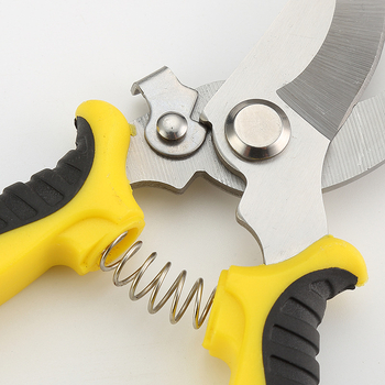 Pengyi Ψαλίδια κλαδέματος από ανοξείδωτο χάλυβα για κλάδεμα κλαδιών δέντρων — εργαλείο κηπουρικής για μοσχεύσεις και κλάδεμα