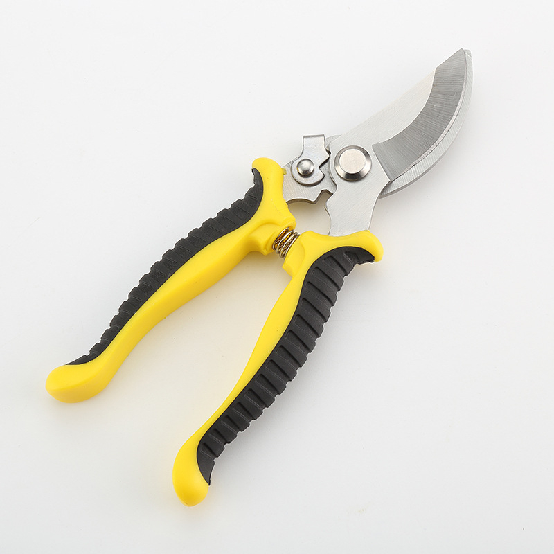Pengyi Ψαλίδια κλαδέματος από ανοξείδωτο χάλυβα για κλάδεμα κλαδιών δέντρων — εργαλείο κηπουρικής για μοσχεύσεις και κλάδεμα