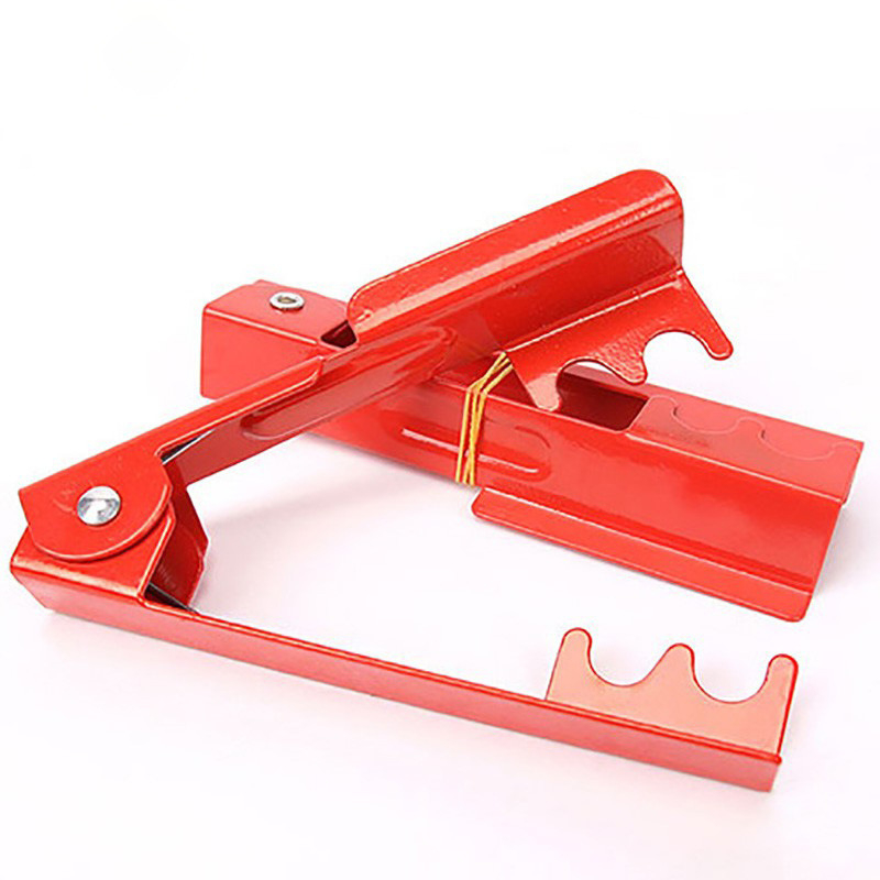 Πένσες για τριαντάφυλλα από σίδηρο, για αγκάθια