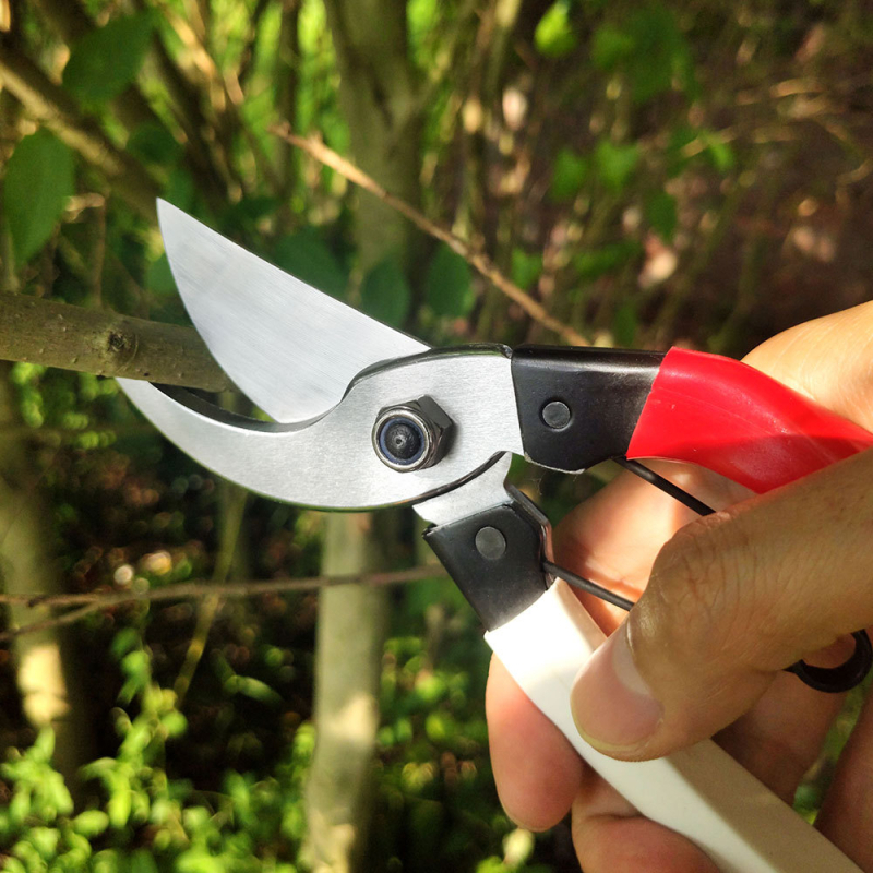 Foarfece de grădină - Sasaki Field, lamă placată crom dur