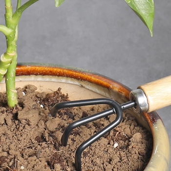 Set de trei lopățe de grădină; lemn și fier forjat; pentru grădinărit